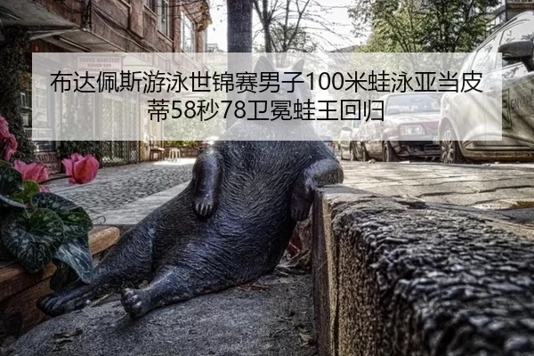 布达佩斯游泳世锦赛男子100米蛙泳亚当皮蒂58秒78卫冕蛙王回归